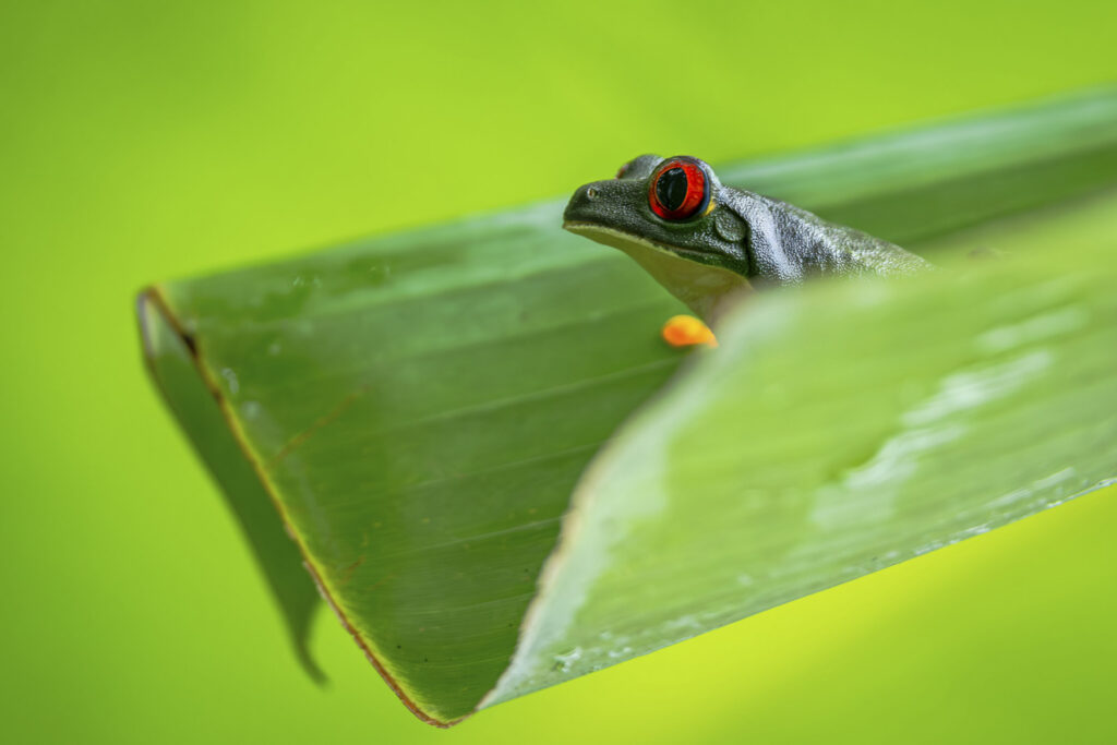 Floris Calandt (24 punten)