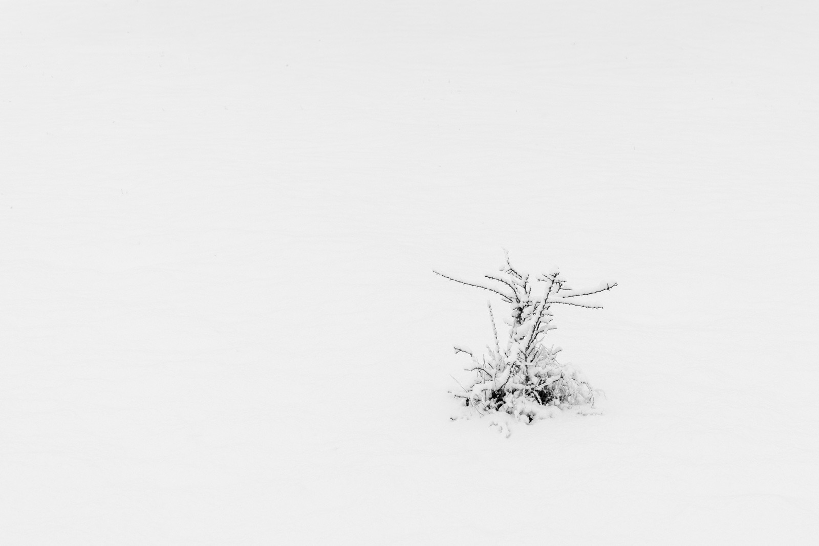 Kees de Rijk maakte deze foto met als thema minimalisme: negatieve ruimte