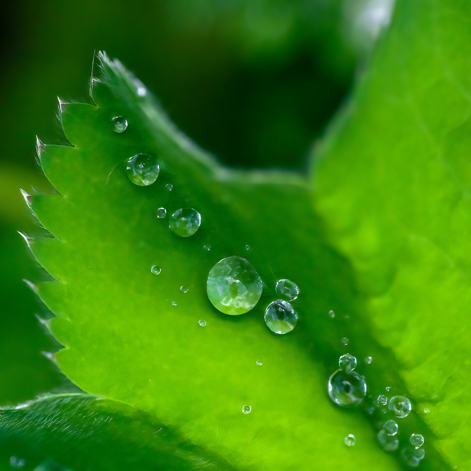 Ria Koldewee maakte deze foto met als thema water