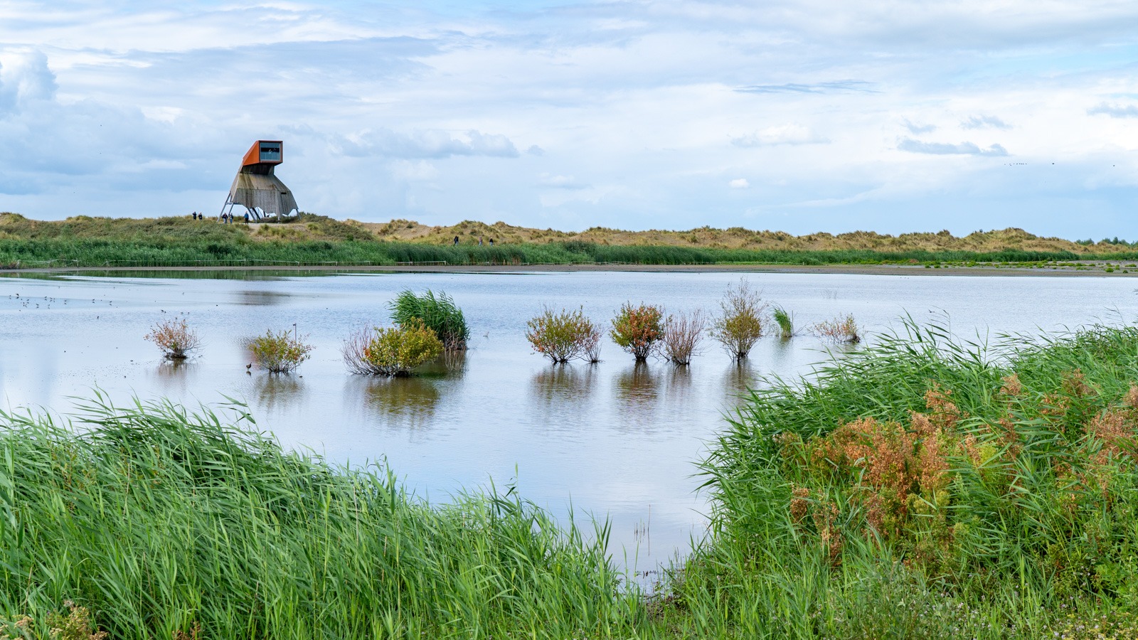 Ria Koldewee maakte deze foto met als thema Marker wadden